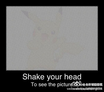 shake your head to see the pic.jpg