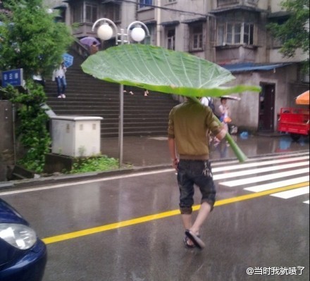 真是大雨中的一朵奇葩！！